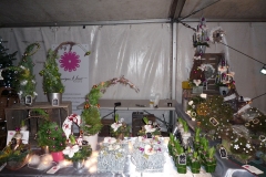 Marché de Noël Braives 2015